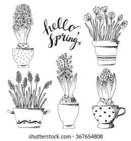 Flower-pot-coloring | Çizim, Illüstratörler