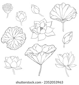 Set of vector hand drawn lotus flowers ans buds black line art illustration. Outline floral drawing for for logo, tattoo, packaging design, compositions. Water Lily botanical vector design.