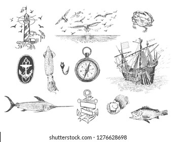 Set of vector hand drawn nautical elements. lighthouse, seagulls over water, sailing ship, anchor, compass, crab, fish, shell and squid. Symbols of seafarers. Retro vintage Illustration