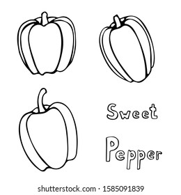Set of vector hand drawn outline bell peppers. Black contour doodle illustration in line art style. Sketch of farm and garden vegetable. Isolated contour icon. Coloring book design element