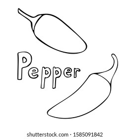 Set of vector hand drawn outline jalapeno peppers. Black contour doodle illustration in line art style. Sketch of farm and garden vegetable. Isolated contour icon. Coloring book design element