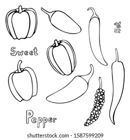 Set of vector hand drawn outline peppers. Black contour doodle illustration in line art style. Sketch of farm and garden vegetable. Isolated contour icon. Coloring book design element