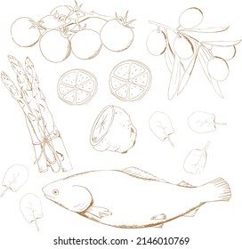 Set of vector hand drawn products. Fish, whole lemon, half lemon, spinach, cherry tomatoes, olives and asparagus. Fish and the flavors that go with it, engraved in vintage style. Design elements