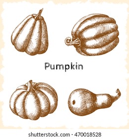 Set of vector hand drawn pumpkins. Autumn season. Sketch freehand drawing in a graphic style.