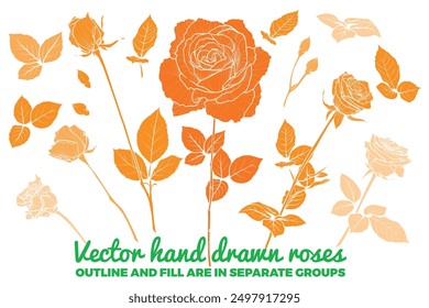 Set of vector hand drawn roses. FLAT FILLS ONLY, NO OUTLINES! Buds, flowers, bloom, blossom, leaves on stem. Summer flowers on white background. Each vector is one united shape.