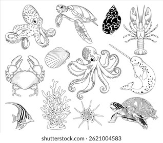 Conjunto de animais marinhos desenhados à mão do vetor ilustrações, coleção de animais de desenho de linha