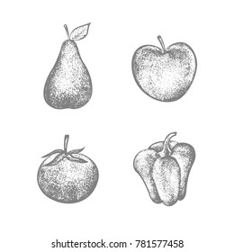 set of vector hand drawn tomato, apple, pepper and pear