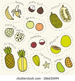Set of vector hand drawn tropical fruits part 1