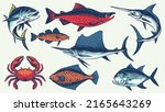 Set Vector Hand Drawn Vintage Fish