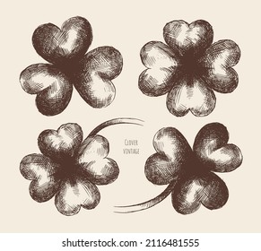 Conjunto de hojas de trébol vectorial dibujadas a mano. Elementos decorativos para los diseños navideños del Día de San Patricio. Imitación del dibujo de la pluma antigua con eclosión. Ilustración gráfica. Esbozo simple. Quatrefoil.