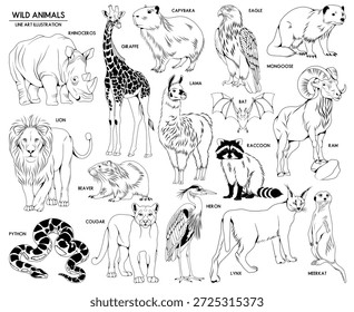 Conjunto de ilustraciones de animales salvajes dibujados a mano de Vector, colección de animales de dibujo de línea