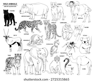 Conjunto de ilustraciones de animales salvajes dibujados a mano de Vector, colección de animales de dibujo de línea