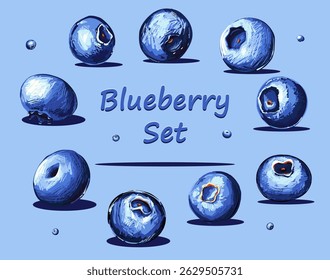 Set of vector hand-drawn blueberries in sketch style isolated on blue background. Colorful fruit collection perfect for packaging, labels, recipes, kitchen decor, or organic product branding.
