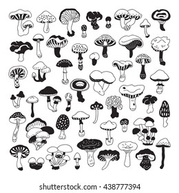 Set of vector hand-drawn, doodles mushrooms. Icons isolated on white backgroun for recipes, design menu, packages. Vector design elements.