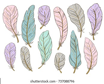 Set of Vector hand-drawn feathers, sketch, outline, sketch