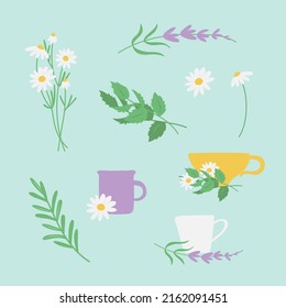 Conjunto de hierbas y flores vectoriales dibujadas a mano para la elaboración de té