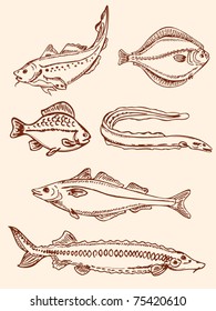 set of vector  hand-drawn vintage seafood