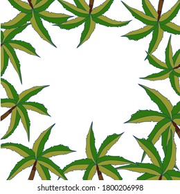 Set vector: handmade, palm trees in a circle on a white background. Set, collage, postcard.