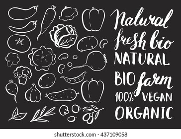 Set vector handwritten elements and inscriptions with rough edges. Farm healthy food. Fresh natural product. Bio locally vegetables. Ink brush hand lettering. Chalkboard.