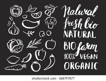 Set of vector handwritten elements with rough edges. Farm natural product. Ink brush  lettering. Hand drawn vegetables. Lettering. Healthy food icons. Chalkboard.
