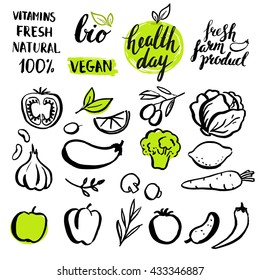 Set of vector handwritten elements with rough edges. Healthy farm food. Natural  bio product. Ink brush lettering. Hand drawn vegetables.