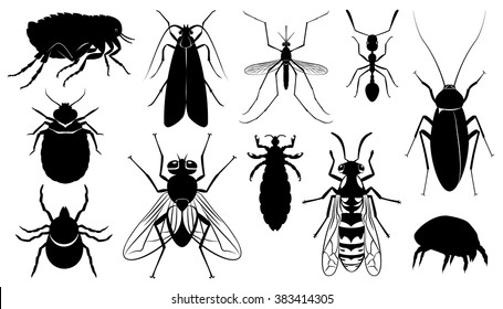 Set Of Vector The Harmful,dangerous, Infection Carriers, Stinging And Parasitizing Insects - Mosquito, Fly, Wasp, Ixodic Tick, Bed Bug, Moth, Dust Tick, Flea, Ant, Cockroach, Louse