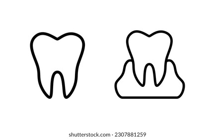 Set vector healthy tooth in gums. Isolated on white background - medical illustration.