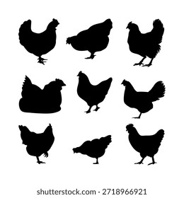 Set of vector hen black silhouettes isolated on white background.