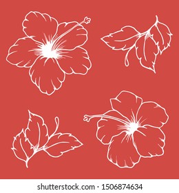 Set of vector hibiscus flowers and leaves. White outline of hibiscus flowers and leaves on pink background. Set of hand drawn hibiscus.