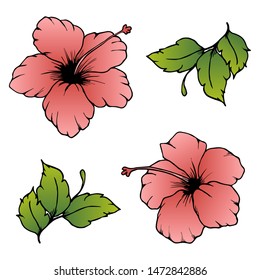 Set of vector hibiscus and green leaves. Isolated hand drawn hibiscus, flower with gradient pink color. Pink hibiscus flowers for cards and invitations. 