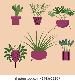Set of vector home plants. Houseplants.