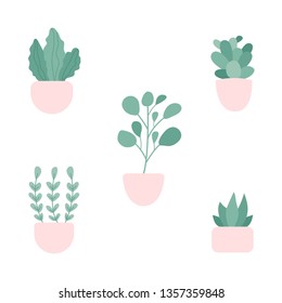 Set of the vector home plants in pots. All elements are isolated, so you can put any plant into any pot.