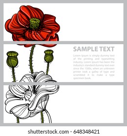 Set of vector horizontal banners with hand drawn red poppies on white background.