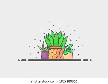 a set of vector house decoration plants on a gray background. plant vector. plant illustration. can be used for invitation cards, wallpapers, and backgrounds.