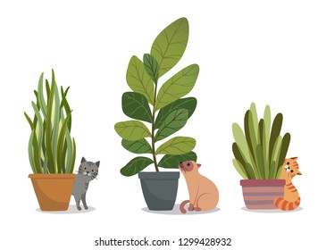 Set of vector house indoor plants with cats, potted plants collection on white background. Flat colorful vector illustration
