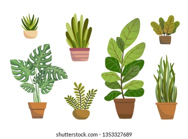 Set Vector House Indoor Plants Potted Stock Vector (Royalty Free ...