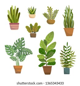 Conjunto de plantas interiores vectoriales, recolección de plantas macetas en fondo blanco. Ilustración vectorial de color plano