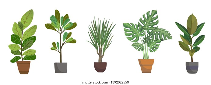 Set of vector house indoor plants, potted plants collection on white background. Flat colorful vector illustration