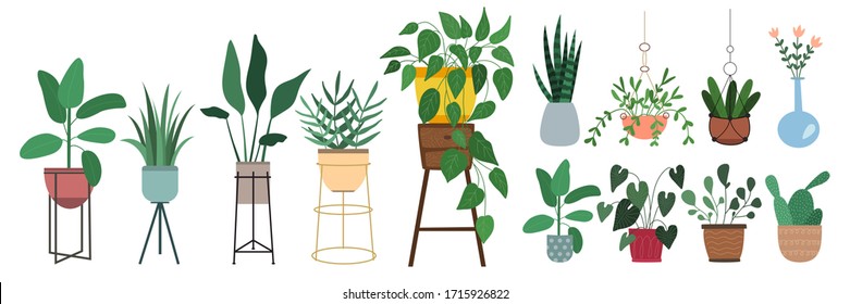 Set Of Vector Houseplants. Collection Of Indoor Plants In Pots. Home Decor. Stylish Plant Stands. Urban Jungle. Vector Flat Illustration. Isolated On White Background