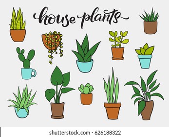 Set vector of houseplants in pots. Hand drawn cartoon collection of house plants. Lettering house plants