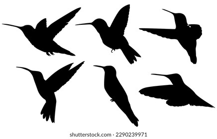 Set Vector Hummingbirds black silhouette animal icon illustration