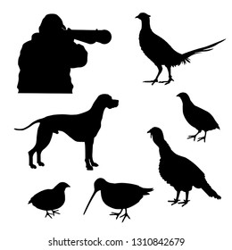 Set Of Vector Hunting Silhouettes With English Pointer, Hunter And Game-bird: Wild Turkey, Pheasant, Quail, Woodcock