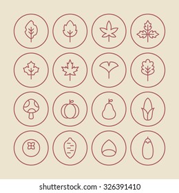 A set of vector icon for fall, autumn, love, memory, leaf, leaves, mushroom, pumpkin, corn, fallen leaves, ginkgo, maple, chestnut, sweet potato, persimmon.