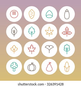 A set of vector icon for fall, autumn, love, memory, leaf, leaves, mushroom, pumpkin, corn, fallen leaves, ginkgo, maple, chestnut, sweet potato, persimmon.