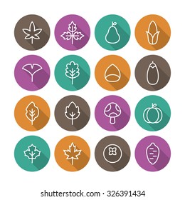 A set of vector icon for fall, autumn, love, memory, leaf, leaves, mushroom, pumpkin, corn, fallen leaves, ginkgo, maple, chestnut, sweet potato, persimmon.