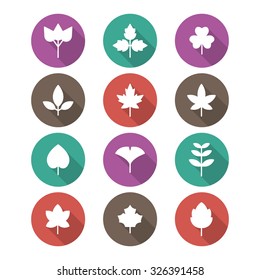 A set of vector icon for fall, autumn, love, memory, leaf, leaves, ginkgo, maple, clover.