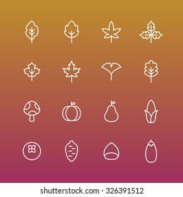 A set of vector icon for fall, autumn, love, memory, leaf, leaves, mushroom, pumpkin, corn, fallen leaves, ginkgo, maple, chestnut, sweet potato, persimmon.