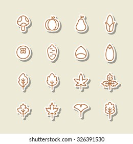A set of vector icon for fall, autumn, love, memory, leaf, leaves, mushroom, pumpkin, corn, fallen leaves, ginkgo, maple, chestnut, sweet potato, persimmon.