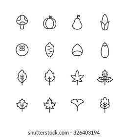 A set of vector icon for fall, autumn, memory, corn, mushroom, pumpkin, sweet potato, ginkgo, maple, chestnut.