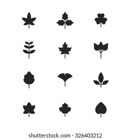 A set of vector icon for fall, autumn, memory, ginkgo, maple.